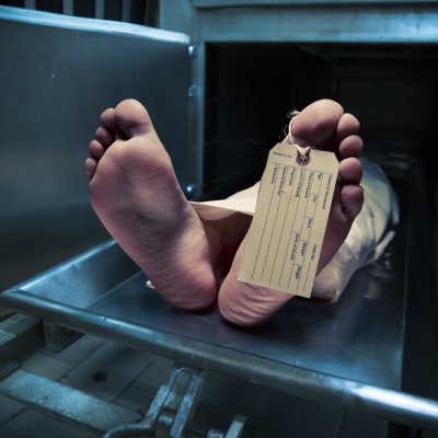 Dr John Drayton has studied the toll involved in identifying and handling the dead. Photo: Shutterstock.